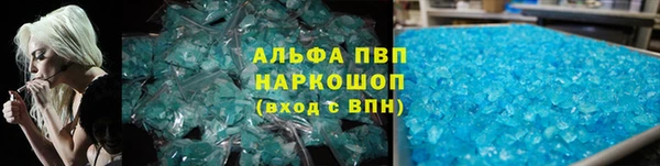 сатива Арсеньев