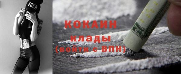 сатива Арсеньев