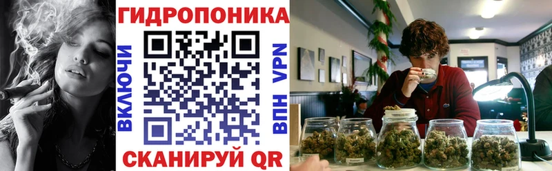 Шишки марихуана VHQ Микунь